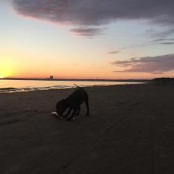 Фото Отель Сёрф-станция Wind Hunters Station (Винд Хайнтерс Стейшен)