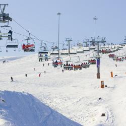 Фото Отель Игора