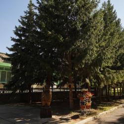 Фото Отель Санаторий Евромед