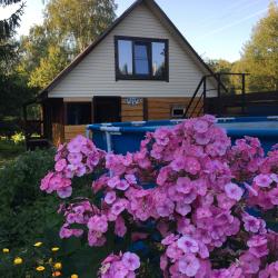 Фото Отель Елки-Палки