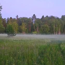 Фото Отель Олин лес