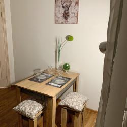 Фото Отель Rental Family Rooms (Рентал Фэмили) на Московском проспекте 48Б