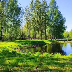 Фото Отель Ильмень