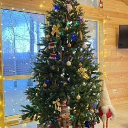 Фото Отель Сибирский Бор на улице Лесная 4