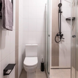 Фото Апартаменты Floris Apartments (Флорис Апартменс) у Невского