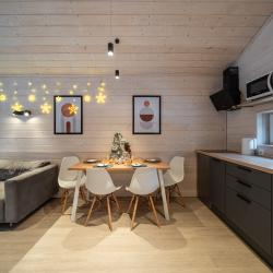 Дом с видом на лес гостиная со спальней (40 кв.м)