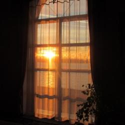 Фото Отель Ковчег