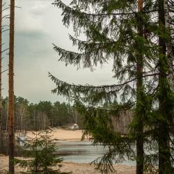 Фото Парк-отель Вудлэнд Кэмп