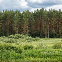 Фото Отель Тутань