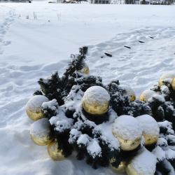 Фото Пирогово Отель
