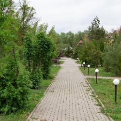 Фото Отель Лукоморье