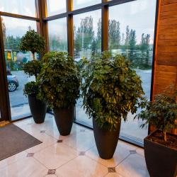 Фото Отель Ethno Park Resort (Этно-парк Резорт)