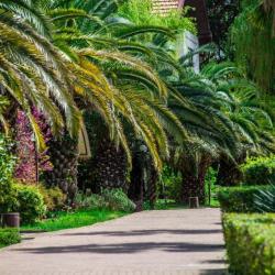 Фото Отель Дивный