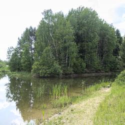 Фото поле-отель