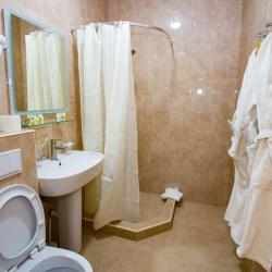 Фото Отель Дворец Нарзанов