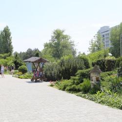 Фото Отель Пансионат Лазурная