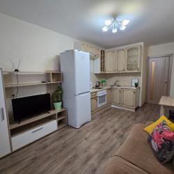 1-комнатные апартаменты стандарт Нижний Новгород, ул. Окская, д. 1