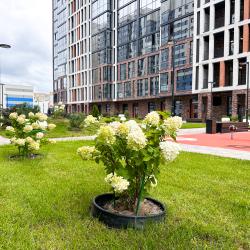 Фото Апартаменты на улице Козина 9