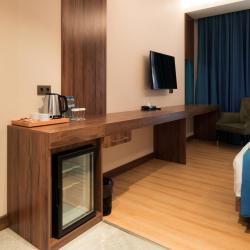 Фото Отель Wellness Hotel and Spa (Велнесс)