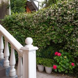 Фото Отель Орион