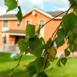 Фото Отель Гнездо