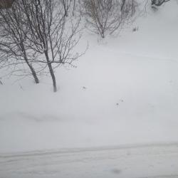 1-комнатные апартаменты улучшенные