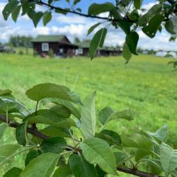 Фото Отель Аура