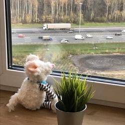 Фото Апартаменты на улице Пражская