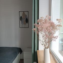 Апартаменты стандарт