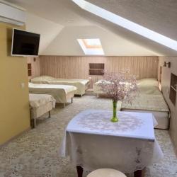 Фото Отель Novosel (Новосёл)