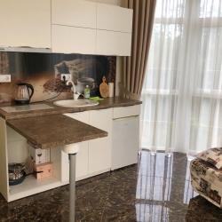 Апартаменты студия