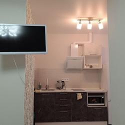 Фото Отель Квартира на проспекте 100-летия а 163