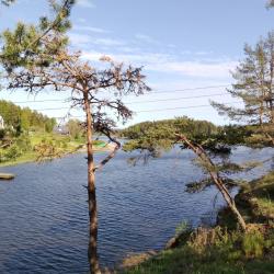 Фото Отель Хутор Вуорио