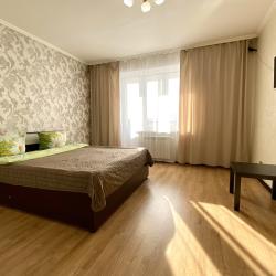 1-комнатные апартаменты стандарт 1-к. кв. Бабушкина 99 №91