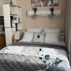 Фото Апартаменты на улице Петра Подзолкова 26