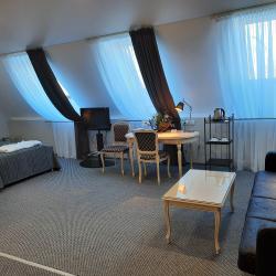 Номер стандарт бизнес с 1 двуспальной кроватью