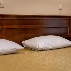 Номер люкс с 1 двуспальной кроватью