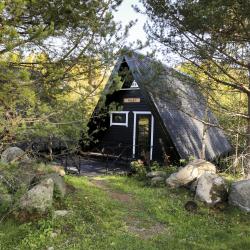 Фото Спа-отель Дворцы