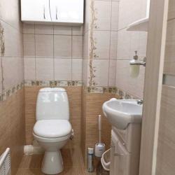 Фото Отель Рябинушка 1