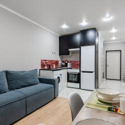 4-местные 1-комнатные апартаменты студия 207