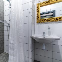 1-комнатные апартаменты стандарт Loft C