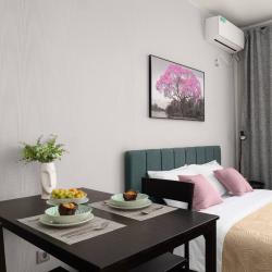 Фото Апартаменты на улице Бородинская