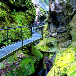 Фото Отель Rakhat (Рахат)