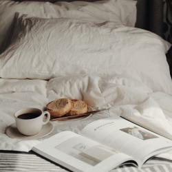 Фото North Star Hotel (Норд Стар Отель)