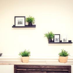 Фото Парк-отель Шишка