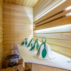 Апартаменты люкс с с сауной и джакузи (SPA)