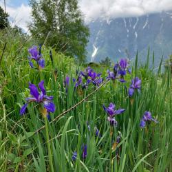 Фото Отель Гостевой дом 1950