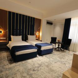 Номер делюкс с 2 односпальными кроватями