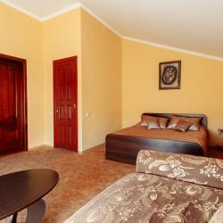 2-местный номер стандарт с 1 двуспальной кроватью