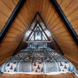 Фото Отель Хвойная хижина